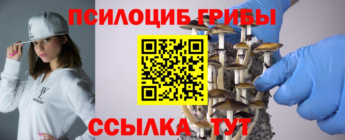 где продают   Галлюциногенные грибы мухоморы  Вход с VPN  Великие Луки 